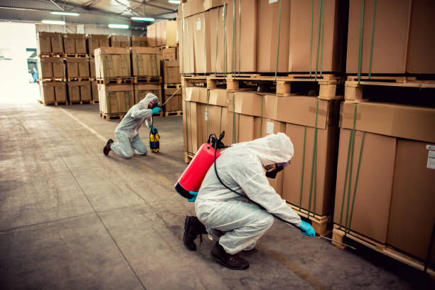 Best Exterminator Services  in Lindale, GA