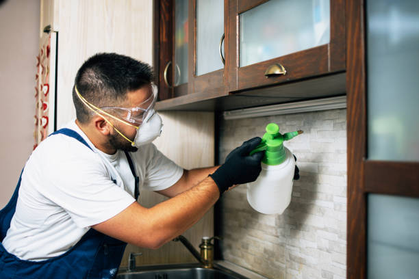 Best Pest Prevention Services  in Lindale, GA