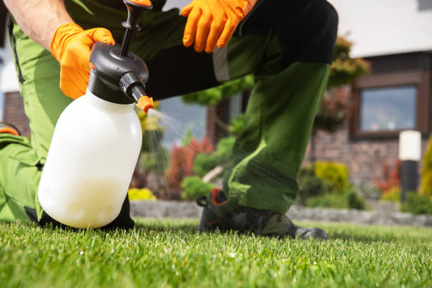 Best Wasp Removal Services  in Lindale, GA