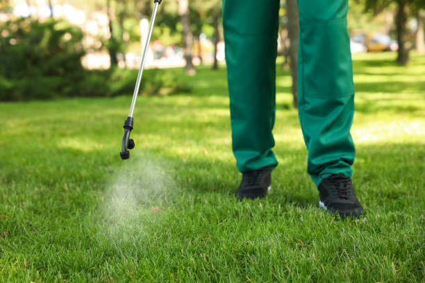 Wasp Removal Services in Lindale, GA