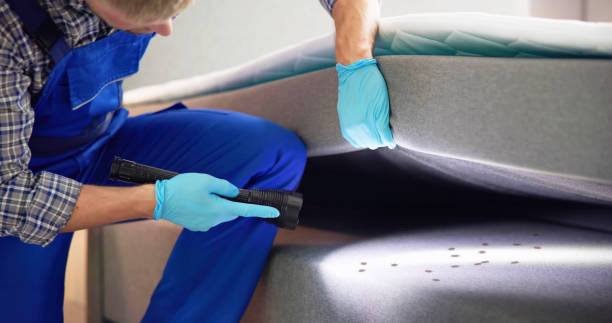 Best Best Pest Control Companies  in Lindale, GA