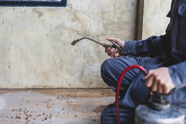 Best Affordable Pest Control Services  in Lindale, GA